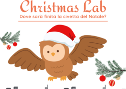 Christmas lab. Dove sarà finita la civetta del Natale?